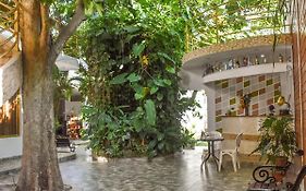 Green House Tarapoto